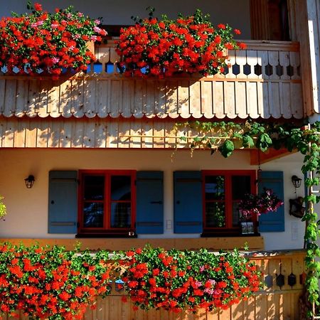 Gaestehaus Wild-Schuetz Schwangau Dış mekan fotoğraf