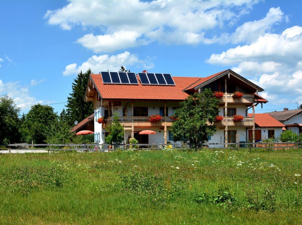 Gaestehaus Wild-Schuetz Schwangau Dış mekan fotoğraf