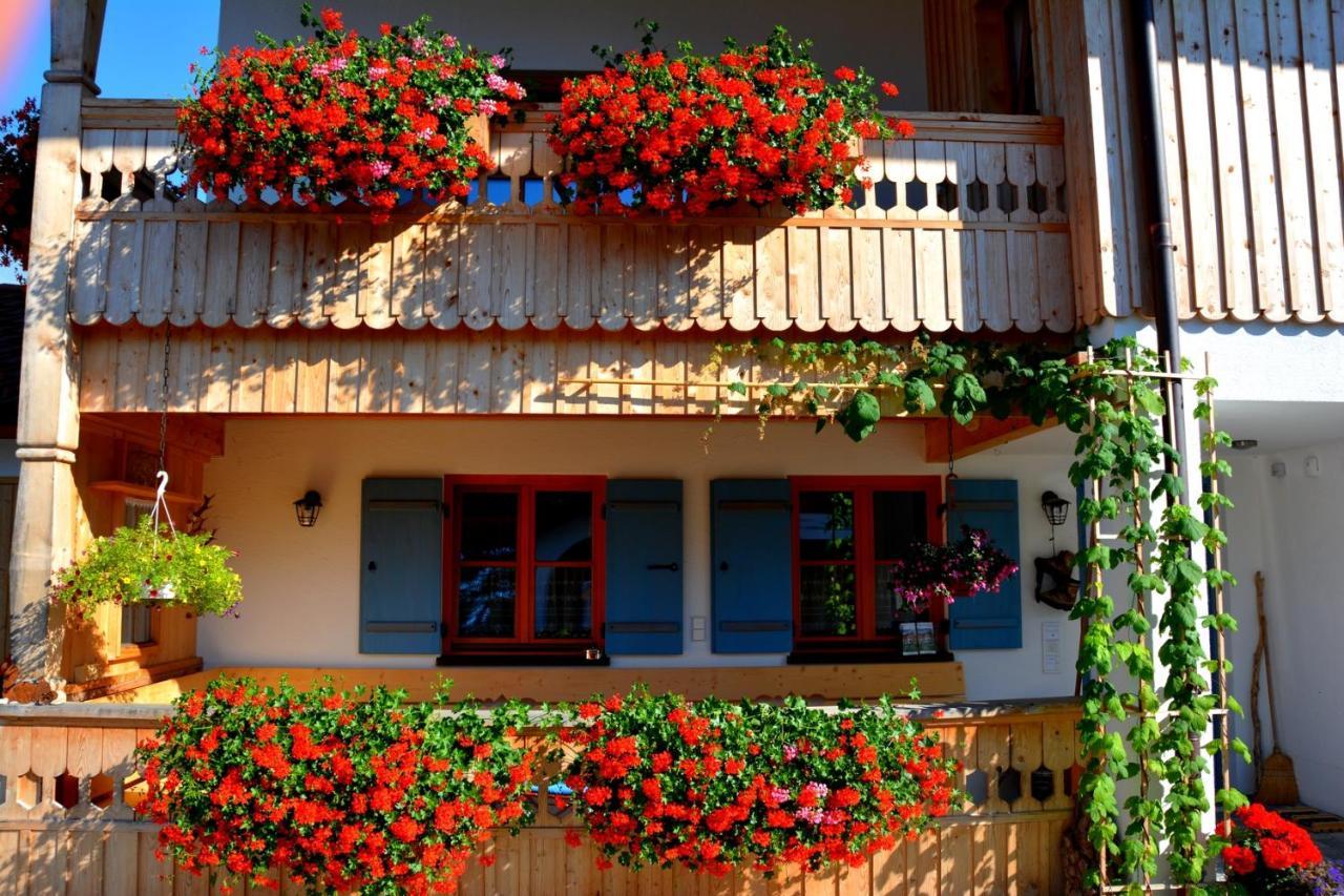 Gaestehaus Wild-Schuetz Schwangau Dış mekan fotoğraf